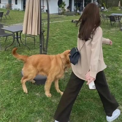 钢铁意志