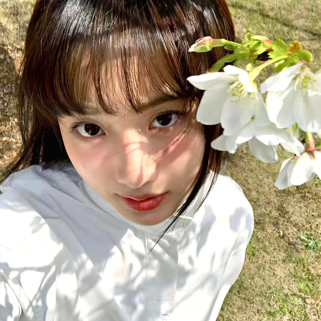 搏击芭蕾